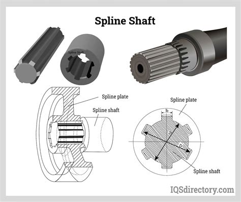 Spline Design - Photos All Recommendation