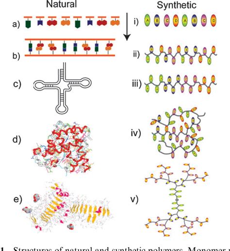 Figure 1 from Controlled polymer synthesis--from biomimicry towards ...