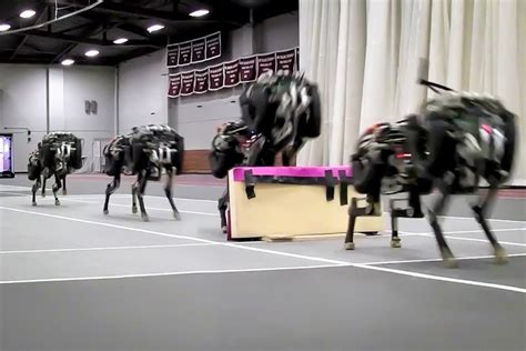 MIT cheetah robot lands the running jump | MIT News | Massachusetts Institute of Technology