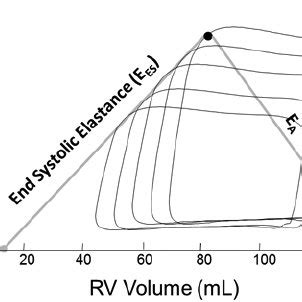 Cartoon illustrating right ventricular pressure-volume loops at varying... | Download Scientific ...