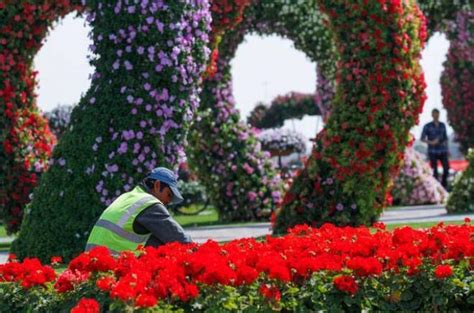 World Rare Collection: Dubai Flower Show