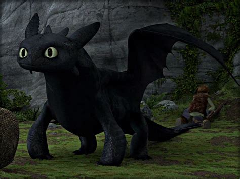 Toothless ☆ - How to Train Your Dragon Wallpaper (32987234) - Fanpop