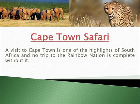 Cape town safari by BeachHolidays - Issuu