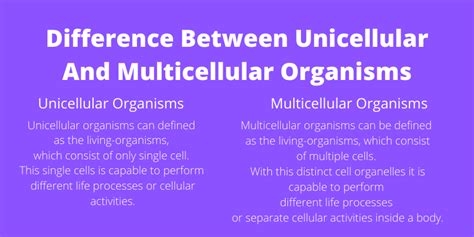 Difference Between Unicellular And Multicellular Organisms in Tabular Form