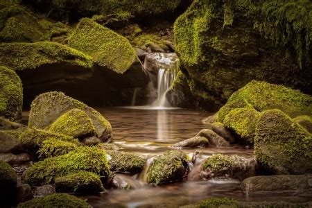 Mossy Rock Stream Waterfall - Waterfalls & Nature Background Wallpapers on Desktop Nexus (Image ...