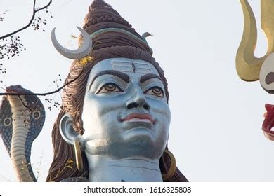 Lord Shiva Adiyoga Statue Haridwar Stock Photo 1616325808 | Shutterstock