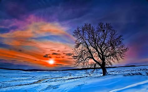 Winter Sunrise Nature Wallpapers - Top Free Winter Sunrise Nature Backgrounds - WallpaperAccess