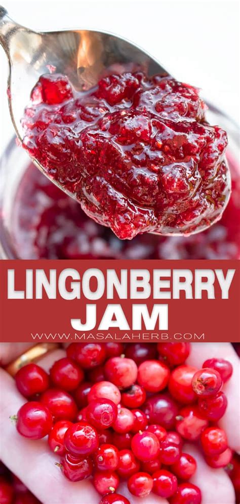 Lingonberry Jam Recipe {without Pectin} | Masala Herb