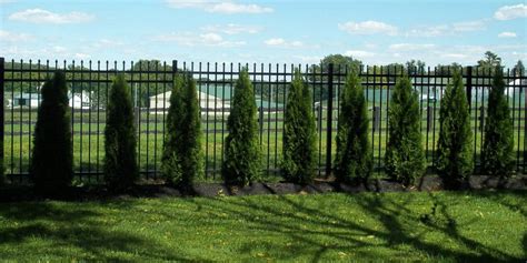 Privacy Fence Ideas – Benefits, Pricing, & More! - Smucker Fencing