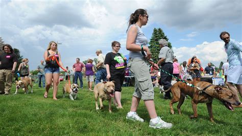 Dogs and their owners line up before judging during the Dog Day Expo ...