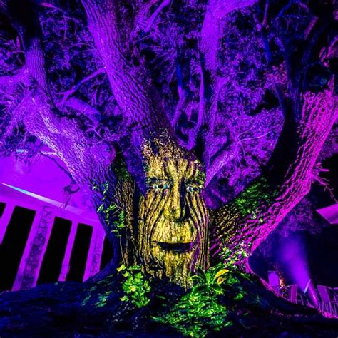 Night at the Garden Miami Experience: A magical light garden