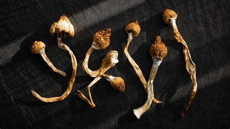 How to Take 'Magic' Mushrooms (Shrooms) Safely