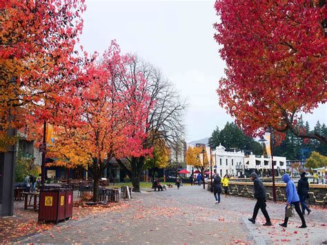 Lewk's Photos: Autumn Colours in New Zealand