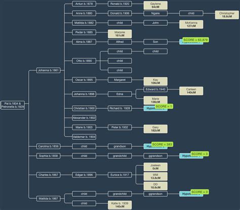 DNA Painter Review: Tools To Help You Find Relatives? - SelfDecode Resources [SEPTEMBER 2021]