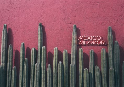 Mexico Mi Amor Digital Print - Etsy