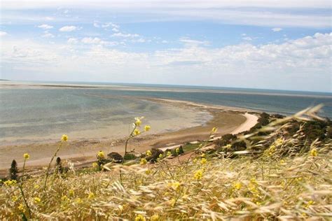 Kingscote, Kangaroo Island | Tickets & Tours - 2024