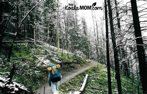 Hiking Lake Minnewanka in Banff National Park • The Koala Mom