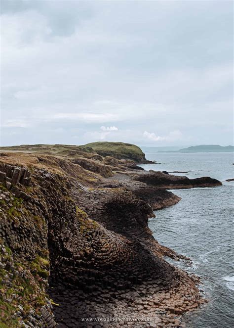 Puffins in Scotland: Where, When & How to See Them - Voyaging Herbivore