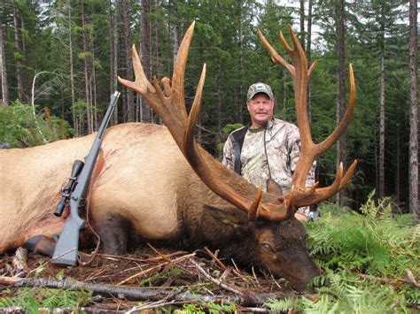 World Class Coastal BC Roosevelt Elk Hunting