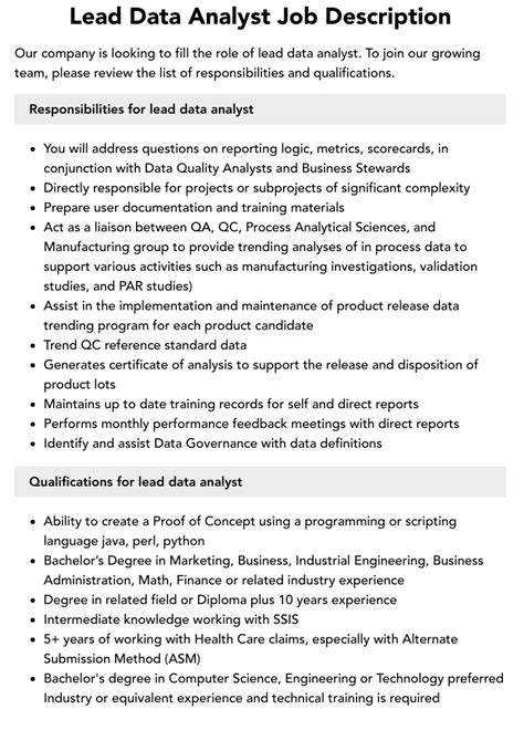 Lead Data Analyst Job Description | Velvet Jobs