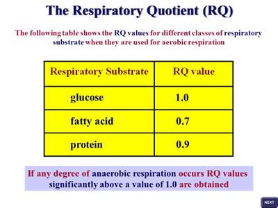 Difference between Respiratory Exchange Ratio (RER) and Respiratory Quotient (RQ) | Respiratory ...