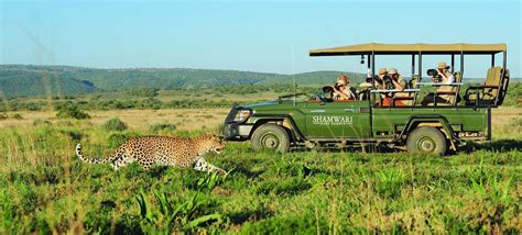 The 5-star Eastern Cape safari tour | ComeToCapeTown