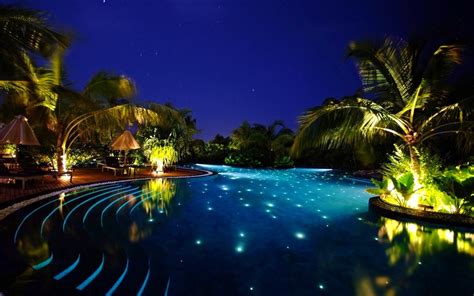 2560x1440 resolution | swimming pool, water, forest, night, palm trees ...