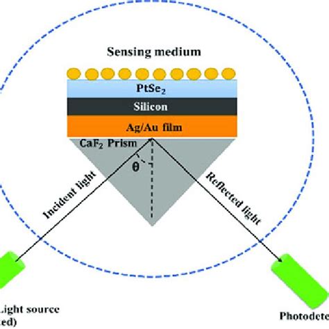 Sketch diagram of proposed SPR biosensors | Download Scientific Diagram