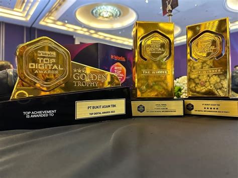 Bukit Asam Borong 3 Penghargaan Sekaligus di Top Digital Awards 2023