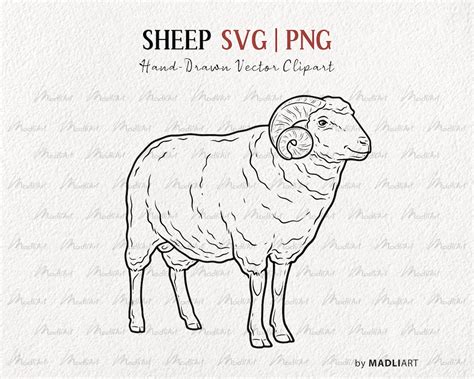 Ram SVG Clipart. Sheep Vector Line Art. Farm Animal Drawing. Sheep Line ...