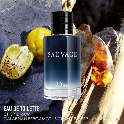 Dior Sauvage Eau de Toilette | The Summit at Fritz Farm