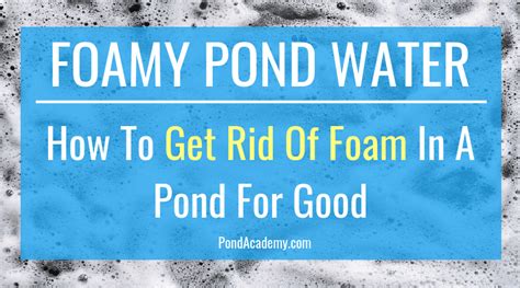 Foamy pond water can be a real eye sore for your once beautiful pond ...