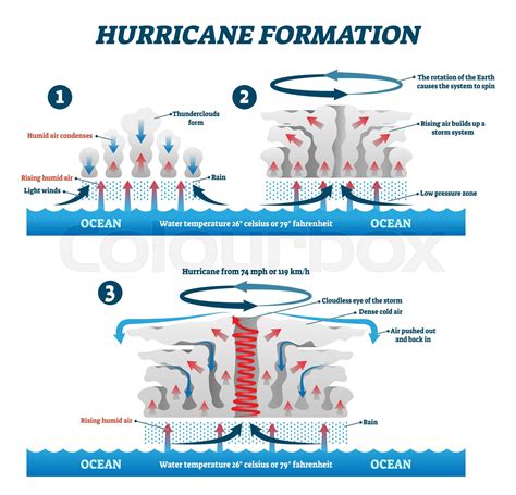 Hurricane formation labeled vector illustration. Educational wind storm air | Stock vector ...