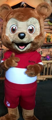 Brinley Bear | Great Wolf Lodge Wiki | Fandom