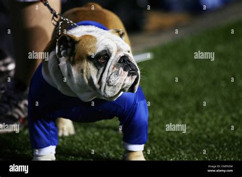 6 November 2009: Louisiana Tech Mascot Tech XX during game action ...