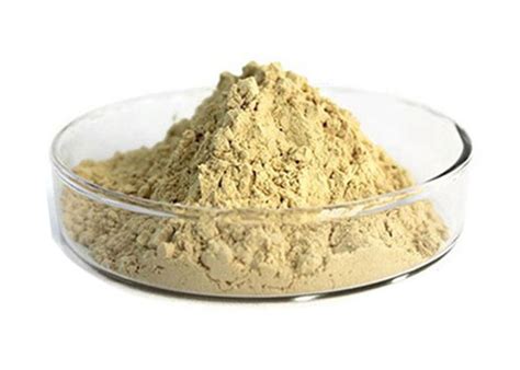 CAS 90045-38-8 Ginseng Extract Powder Pure Natural Ginsenoside 20% for ...