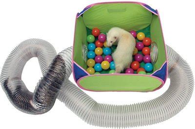 MARSHALL Pop-N-Play Ferret Ball Pit Toy, 10.5-in - Chewy.com