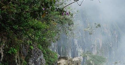 Pics Actually: The Inca Trail, Cusco, Peru