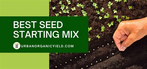 Best Seed Starting Mix For Your Garden | UrbanOrganicYield.com