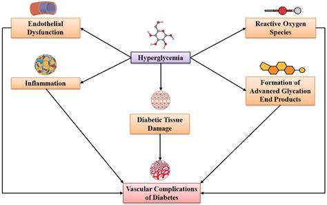 Molecules | Free Full-Text | Potential Roles of Anti-Inflammatory Plant-Derived Bioactive ...