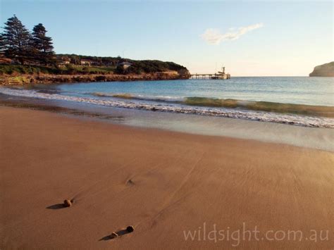 Port Campbell beach at sunset - Wild Sight