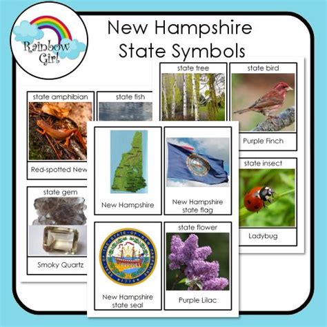 New Hampshire State Symbols | State symbols, Symbols, New hampshire