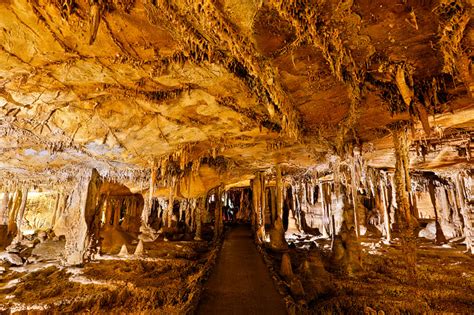 Fascinating Lehman Caves Tours at Great Basin National Park Nevada