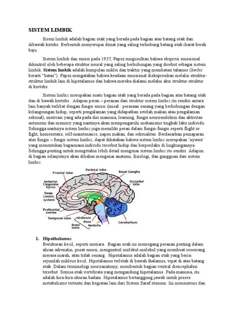 Sistem Limbik Dan Emosi Afeksi | PDF