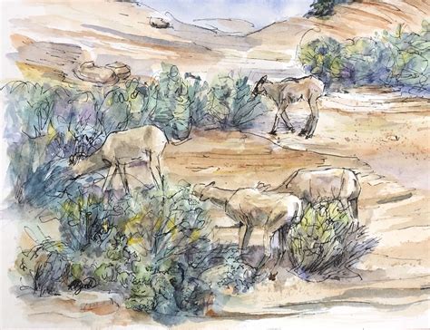 Watercolor Bighorn sheep | Watercolor sunset, Watercolor, Watercolor ...