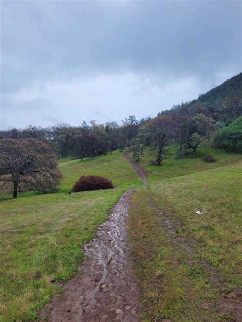 Hiking Mount Diablo Waterfall Loop (Partial) in Mount Diablo State Park, California - Hike Amazing