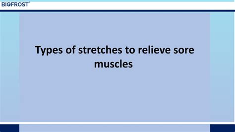 Types of stretches to relieve sore muscles by biofrost india - Issuu