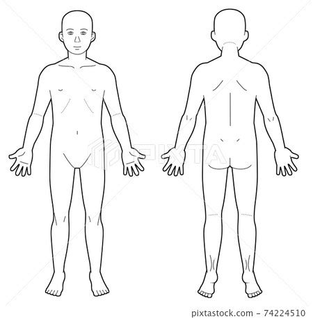 Human body diagram (schema diagram) Black and... - Stock Illustration ...