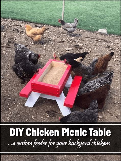 DIY Chicken Picnic Table