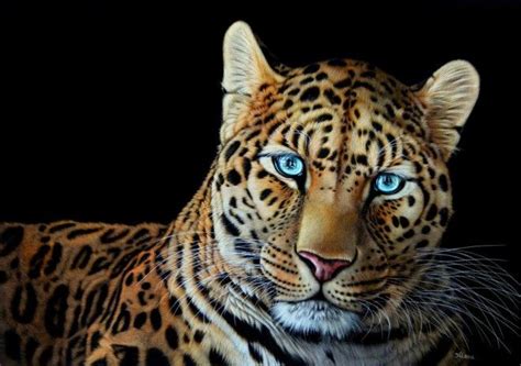 17 Best images about Realistic Animal Paintings on Pinterest | Beautiful, Heather o'rourke and ...